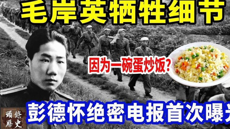 根宝基地：荣耀与温暖汇聚