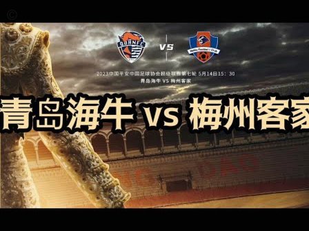 中国足球联赛史上最强外援