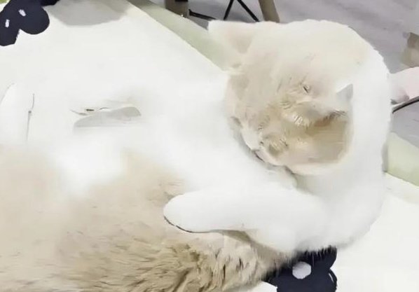 世界杯开始5天多了 发现一个现象