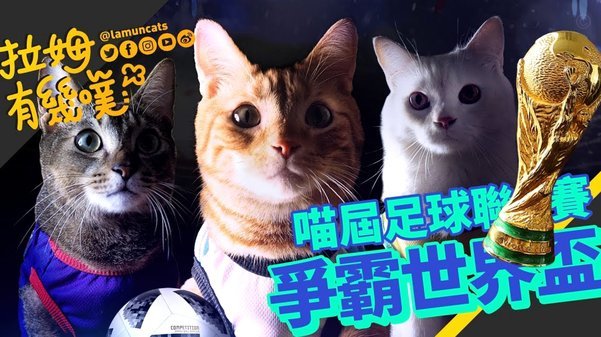 西班牙国家队这踢的是啥啊？