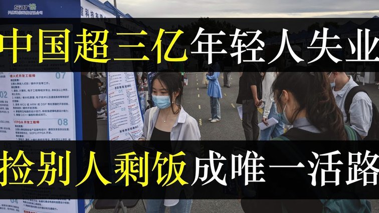 日本女网友反讽球迷捡垃圾：家务也该做