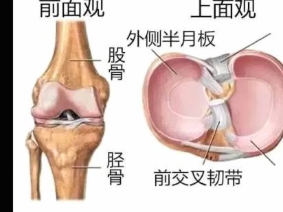 分析师：乌加特左膝疑似ACL+半月板损伤，或伤缺9-12个月