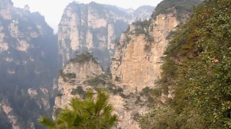 DO独家：森林在和埃弗顿谈判，4000万镑签下中场阿姆斯特朗