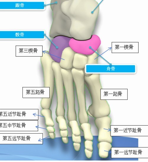 马竞球迷：科克离场后的困惑